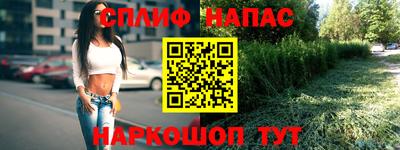 круглые Бийск