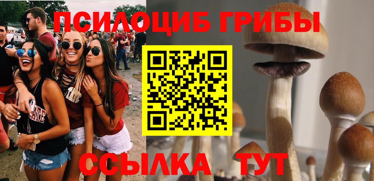 Елизово  Галлюциногенные грибы мицелий  наркота  Вход с VPN 